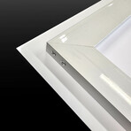 Epic Graffiti "Don't Feed The Birds" in a High Gloss Acrylic Wall Art // 60" x 20"