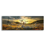 Epic Graffiti "Dame of the Desert" in a High Gloss Acrylic Wall Art // 60" x 20"