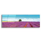 Epic Graffiti "Field of Lavender" in a High Gloss Acrylic Wall Art // 60" x 20"