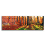 Epic Graffiti "Into The Woods" in a High Gloss Acrylic Wall Art // 60" x 20"