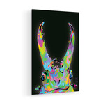 Beetle Jaws 2026 Print on Acrylic by TECHNODROME1 (16"H x 24"W x 0.25"D)