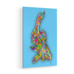 Coy Fish Print on Acrylic by TECHNODROME1 (16"H x 24"W x 0.25"D)