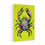 Flower Crab 2026 Print on Acrylic by TECHNODROME1 (16"H x 24"W x 0.25"D)