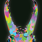 Beetle Jaws 2026 Print on Acrylic by TECHNODROME1 (16"H x 24"W x 0.25"D)