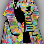 Spinx Met 2025 Print on Acrylic by TECHNODROME1 (16"H x 24"W x 0.25"D)