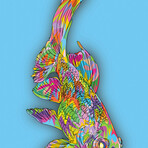 Coy Fish Print on Acrylic by TECHNODROME1 (16"H x 24"W x 0.25"D)