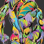 Back Muscles Print on Acrylic by TECHNODROME1 (16"H x 24"W x 0.25"D)