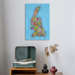 Coy Fish Print on Acrylic by TECHNODROME1 (16"H x 24"W x 0.25"D)