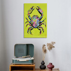 Flower Crab 2026 Print on Acrylic by TECHNODROME1 (16"H x 24"W x 0.25"D)