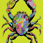 Flower Crab 2026 Print on Acrylic by TECHNODROME1 (16"H x 24"W x 0.25"D)