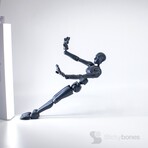 Stickybones in Dark Storm + White Fly-Rig