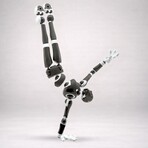 Stickybones in Dark Frost + Pose Plate