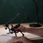 Stickybones in Dark Storm + White Fly-Rig