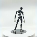 Stickybones in Dark Frost + Pose Plate