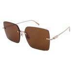 Men's // Ferragamo SF311S-745 Square Sunglasses // Light Gold + Brown