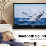 42" Bluetooth® Soundbar with Digital FM Radio and Remote Control
