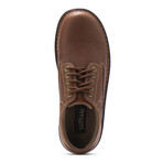 Plainview // Oxford // Oak (US: 8)