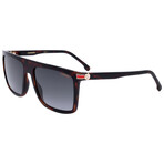 Carrera // Unisex Browbar // Havana + Smoke Gradient