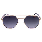 Carrera // Unisex Aviator // Gold Striped Black + Grey Shaded
