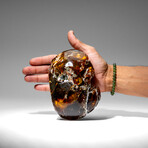 Genuine Amber From Baltic Sea