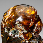 Genuine Amber From Baltic Sea