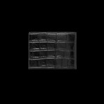 Croc-Embossed Leather Wallet // Black