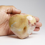 Genuine Polished Polychrome Jasper Heart