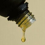 Golden Blend // 15ml