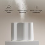 Cloud Humidifier (White)