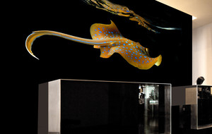 Wallflower Full Wall Photos