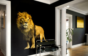 Roaring Wall Photos & Decals