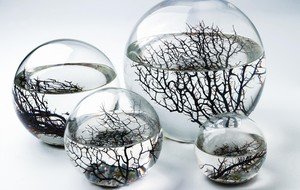 EcoSphere