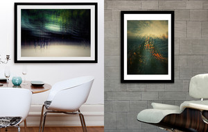 Curioos Photography