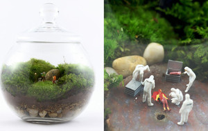 Twig Terrarium