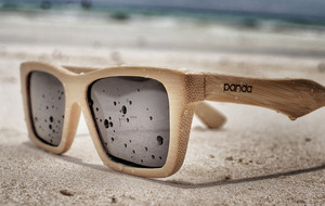 Panda Sunglasses