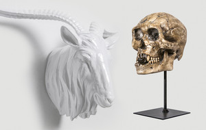 Interior Illusions Plus