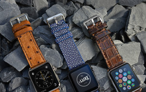 LeLuxe Straps Exotic Apple Watch Straps Touch of Modern