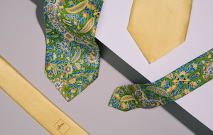 Brioni Ties