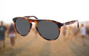 Polaroid Sunglasses