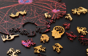 N-E-R-V-O-U-S System