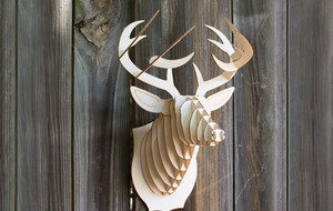 Antler Home