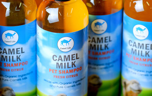 Camel Milk Coop