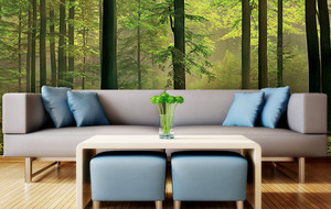 Contemporary Wall Murals