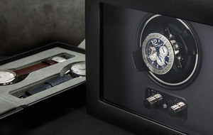 Collectible Watches & Winders