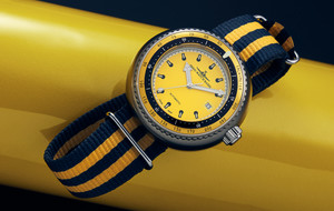 Dive Ready Watches