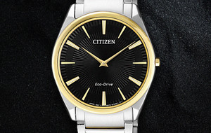 Citizen & Bulova