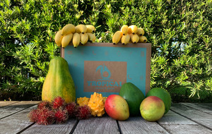 Tropical Fruit Box