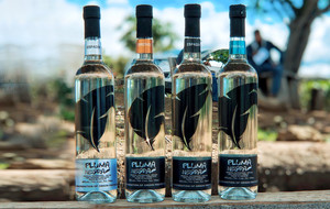 Pluma Negra Mezcal
