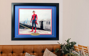 The Hollywood Collection