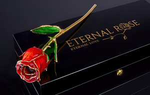 Eternal Rose 